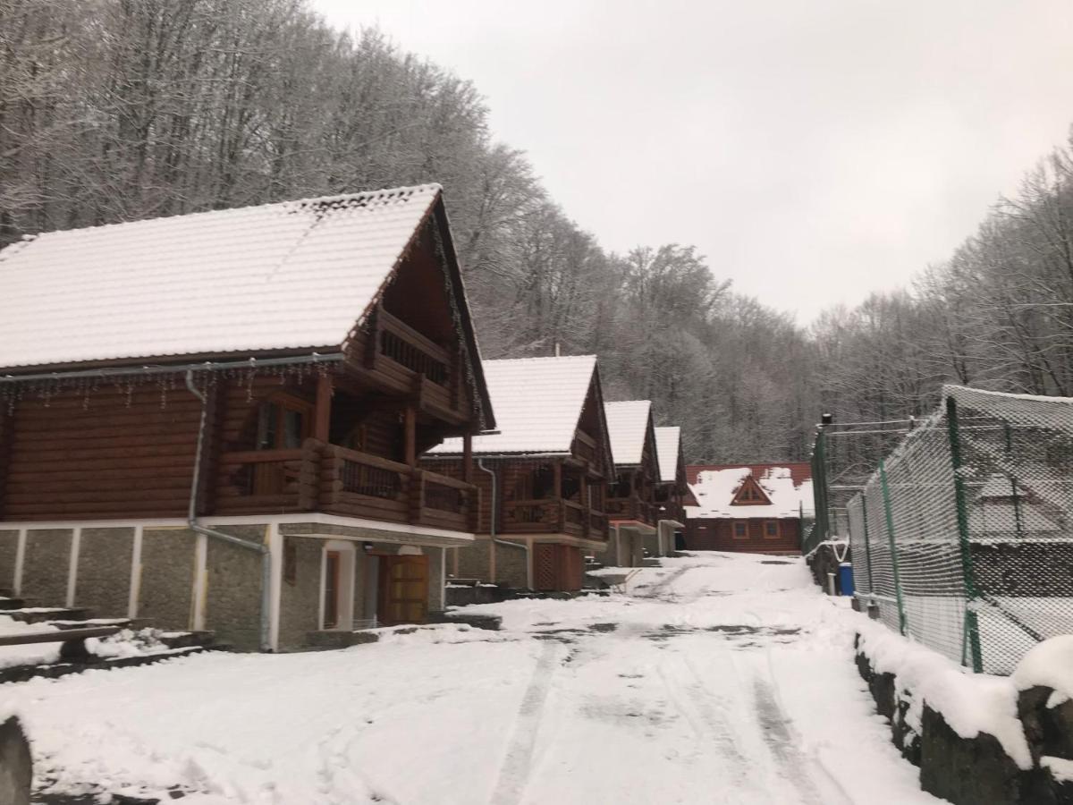 Hotel Toursit Complex Polyana Kvasova Exterior foto